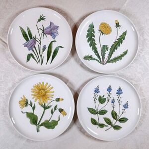 Rorstrand Sweden Flora Botanical Plates Set 4 Mid Century Wildflower Porcelain